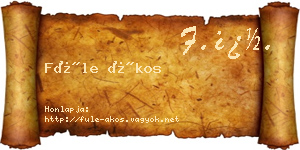 Füle Ákos névjegykártya